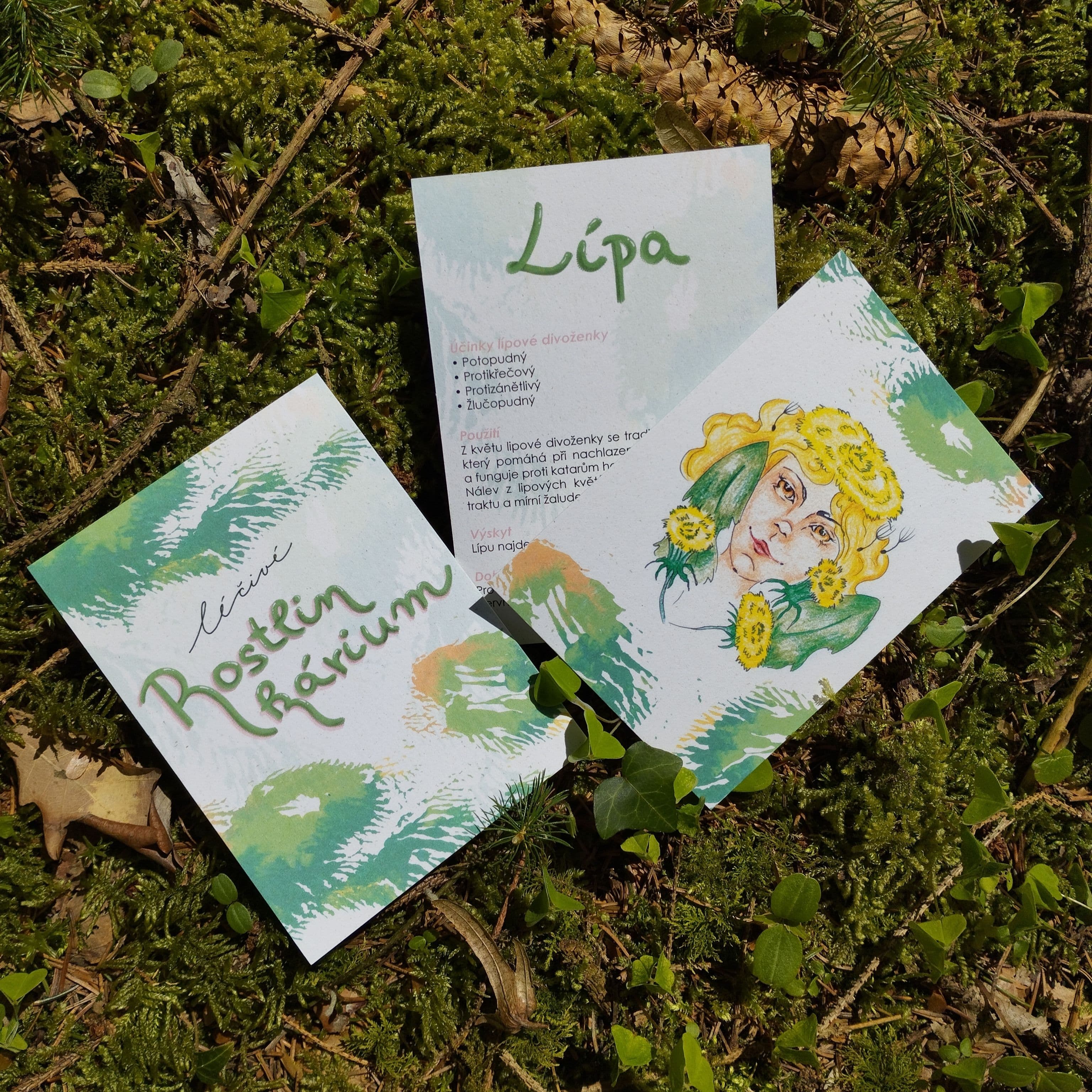Léčivé Rostlinkárium - poznávací karty