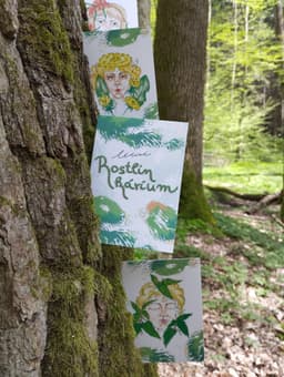Léčivé Rostlinkárium - poznávací karty