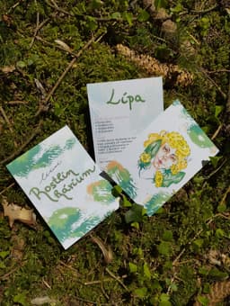 Léčivé Rostlinkárium - poznávací karty